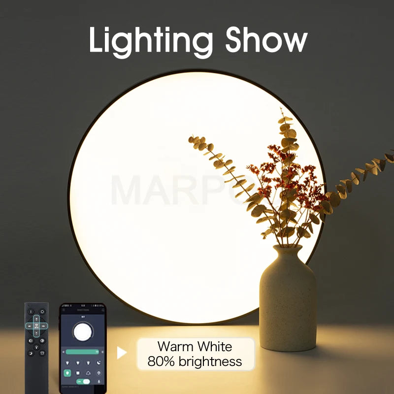 Smart Ceiling Lamp LED Lamp for Bedroom Ceiling Lights with Remote Control Dimmable LED Lights for Room Living Room
