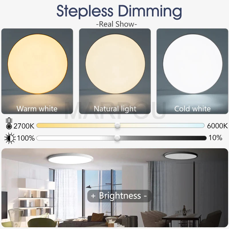 Smart Ceiling Lamp LED Lamp for Bedroom Ceiling Lights with Remote Control Dimmable LED Lights for Room Living Room